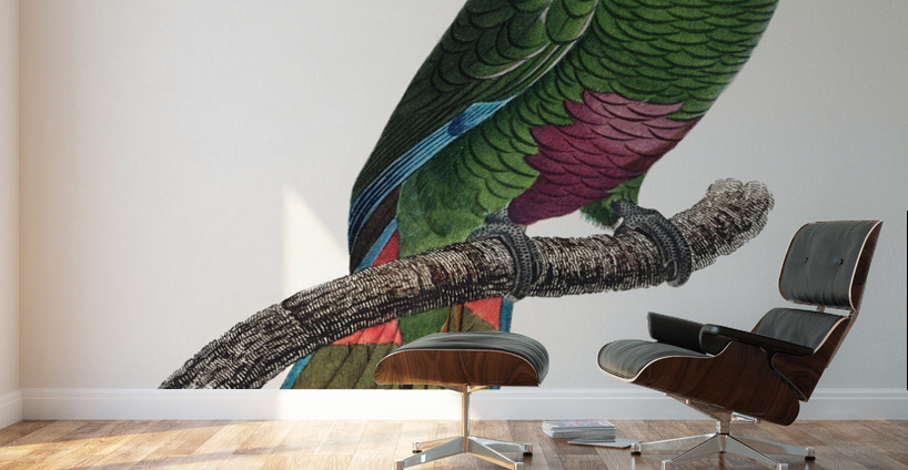 Rose-throated parrot  Wall Murals