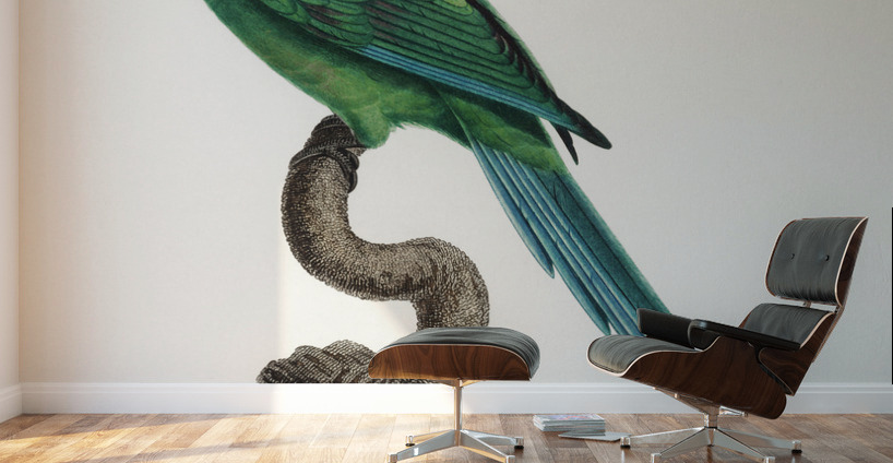 Yellow-shouldered parrot  Wall Murals