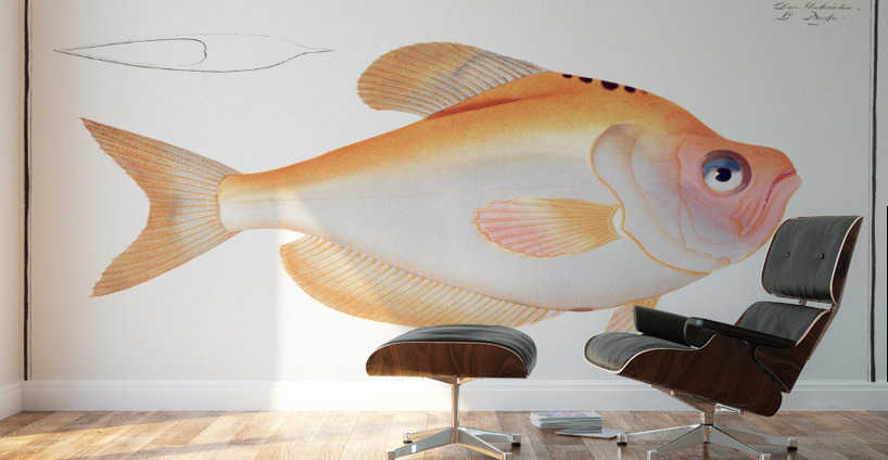 Kyrtus indicus Wall Murals