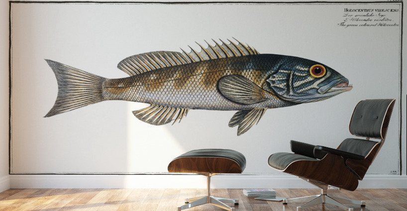 Green coloured Holocentre Holocentrus verescens Wall Murals