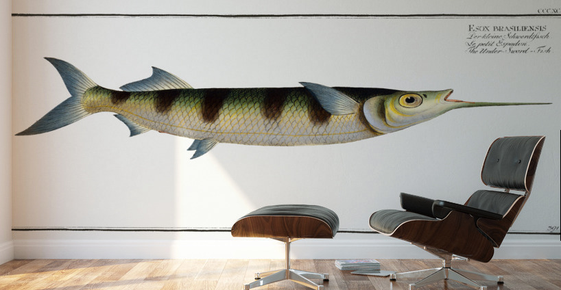 Under-Sword-Fish Esox brasiliensis Wall Murals