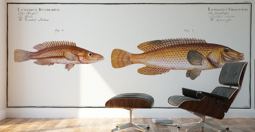 1. Green-fin Lutianus Virescens 2. Snouted Lutian Lutianus Rcstratus Wall Murals