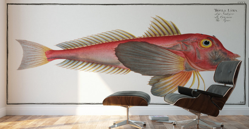 Piper Trigla Lyra Wall Murals