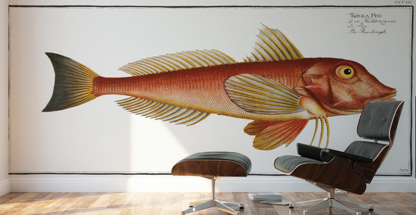 Pine-bough Trigla Pini Wall Murals