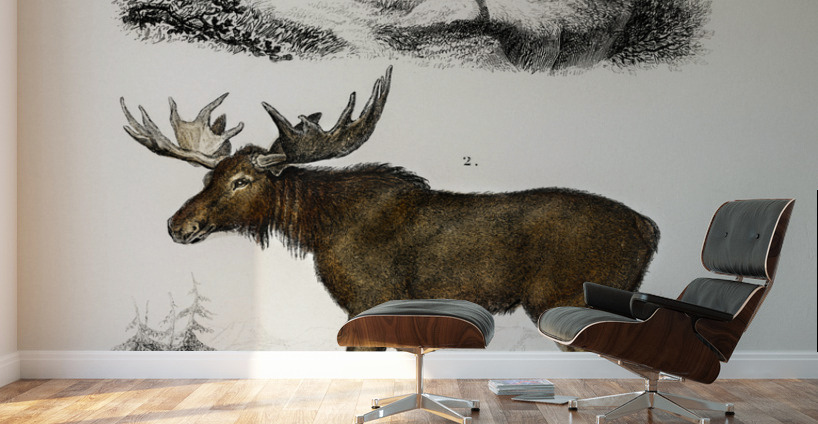 Different types of insects Wall Murals