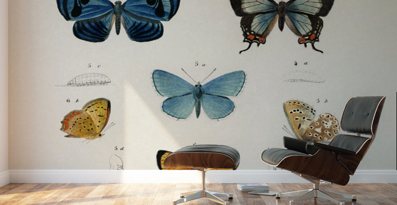 Different types of wasps Wall Murals
