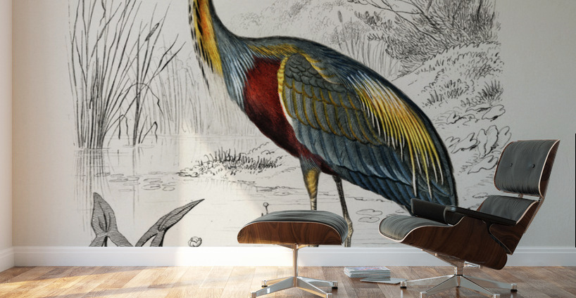 Purple heron Ardea purpurea Wall Murals