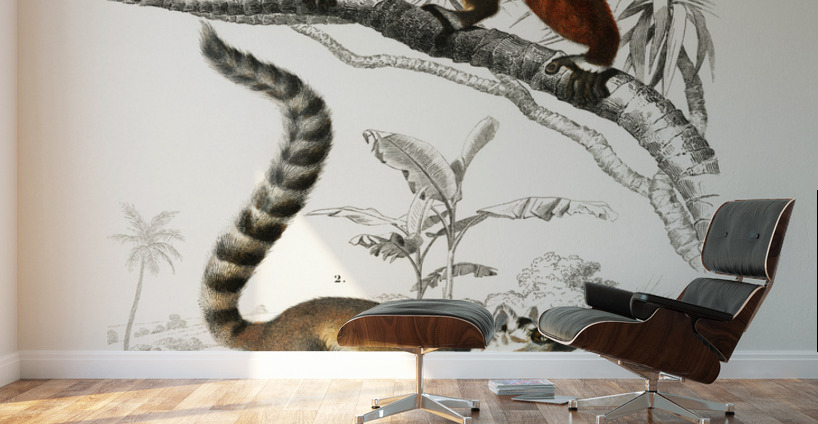 Lemur Wall Murals