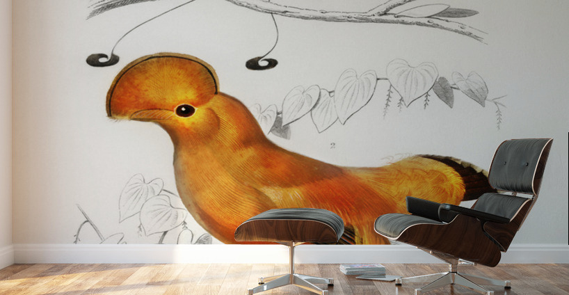 Different types of birds Wall Murals