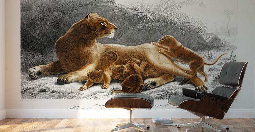 Fails Leo Wall Murals