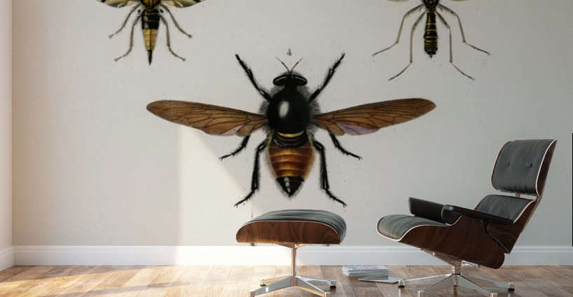 Different types of insects Wall Murals