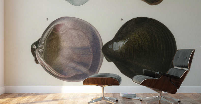 ictionnaire Universel D histoire Naturelle D Orbi 1694477462.2014 Wall Murals