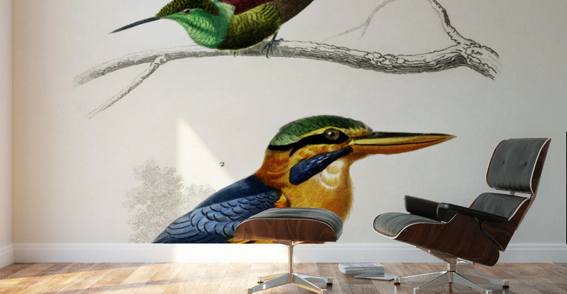 Different types of birds Wall Murals