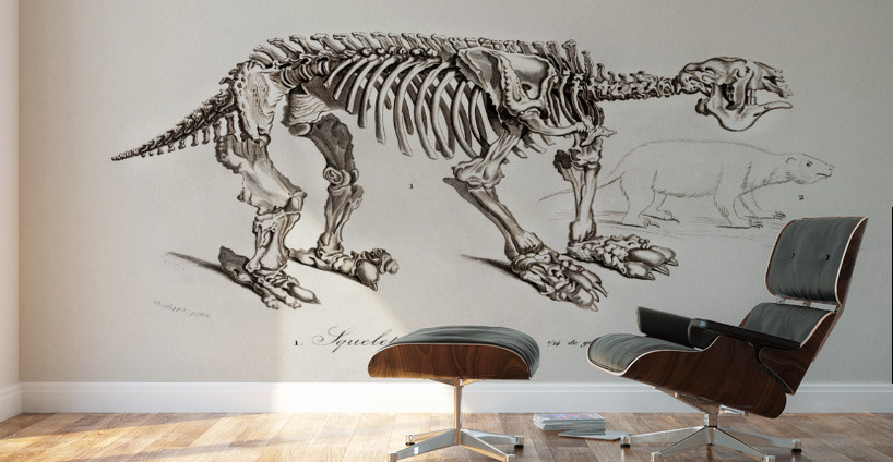 Megatherium Wall Murals