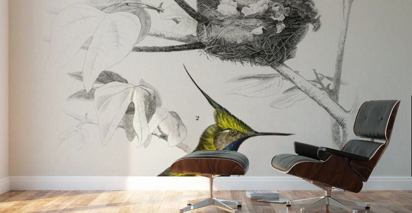 Different types of birds Wall Murals