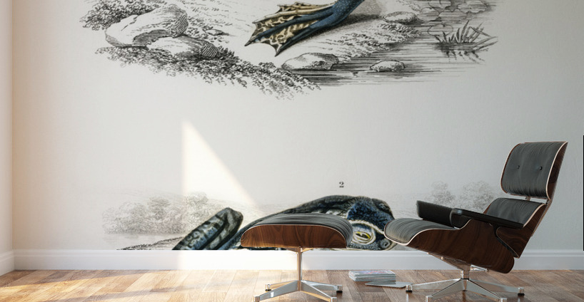 Shrinking frog Pseudis Merianae and Black-spotted casque-headed tree Trachycephalus geographieus Wall Murals