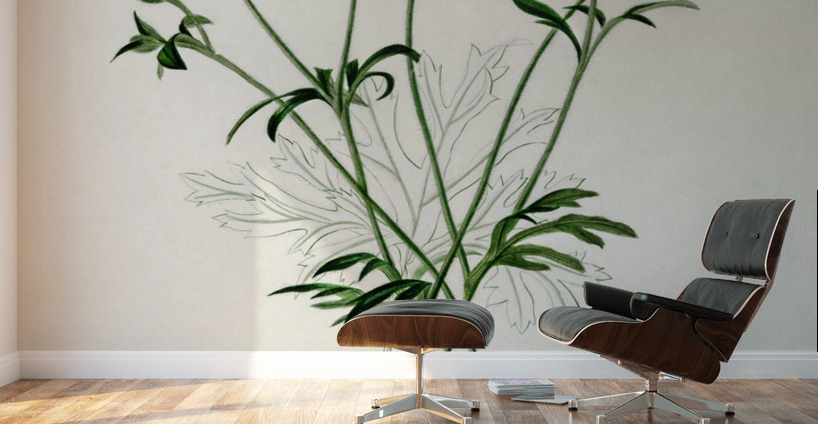 ictionnaire Universel D histoire Naturelle D Orbi 1694478892.938 Wall Murals