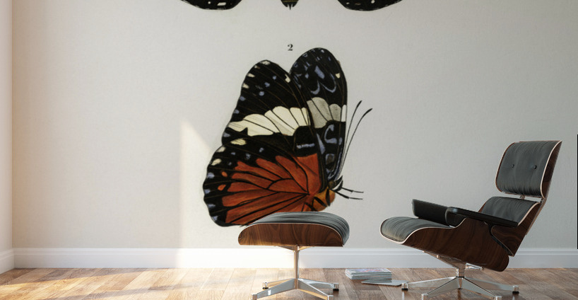 Amphisbaena fuliginosa spotted worm lizard Typhlops lumbricalis blind snakes Vropeltis Philippinus shield tail snakes Wall Murals