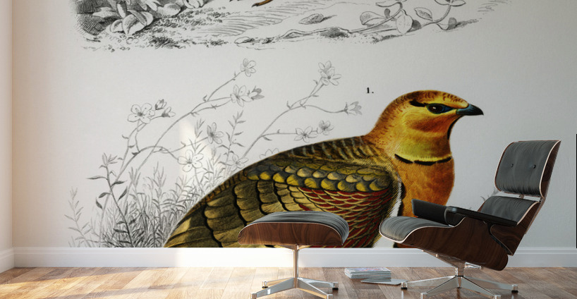 Different types of birds Wall Murals