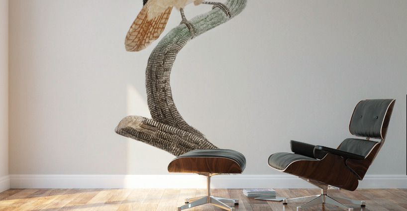 Black-necked stilt  Wall Murals