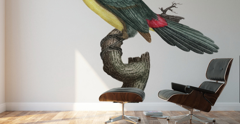 Green aracari  Wall Murals