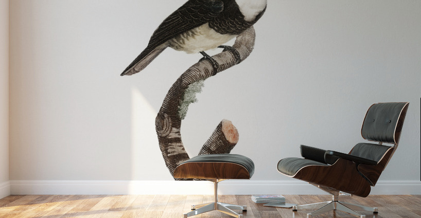 Black-billed Tamatia  Wall Murals