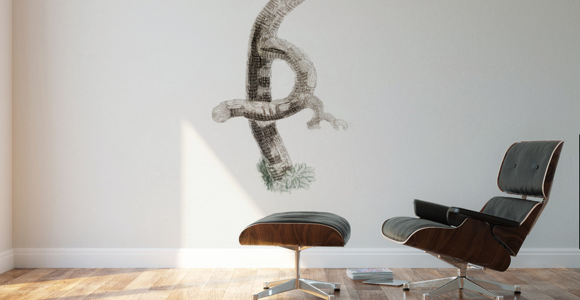 Little jay Wall Murals