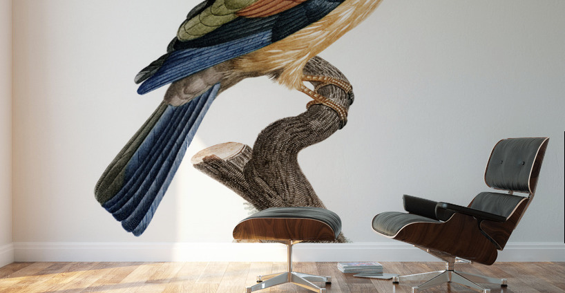 Young African roller  Wall Murals