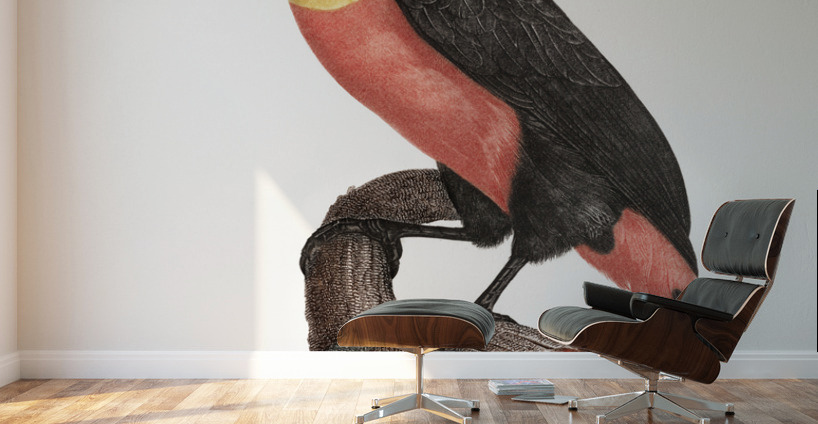 Green-billed toucan  Wall Murals