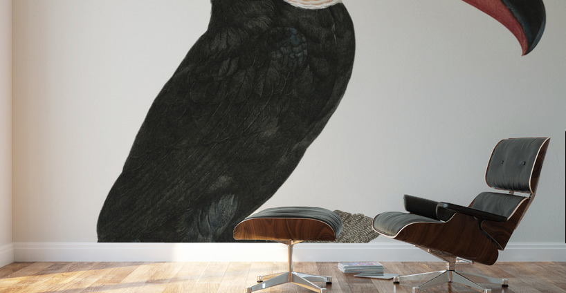 Toco toucan Wall Murals