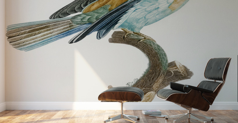 Abyssinian roller female Wall Murals