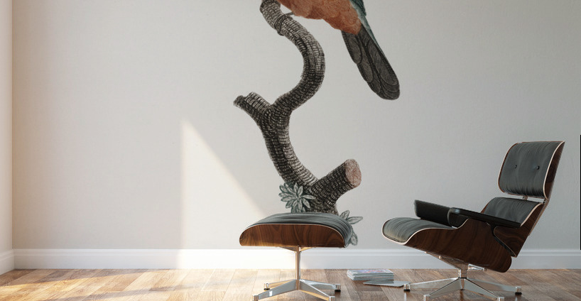 Green-tailed Jacamarfemale Wall Murals