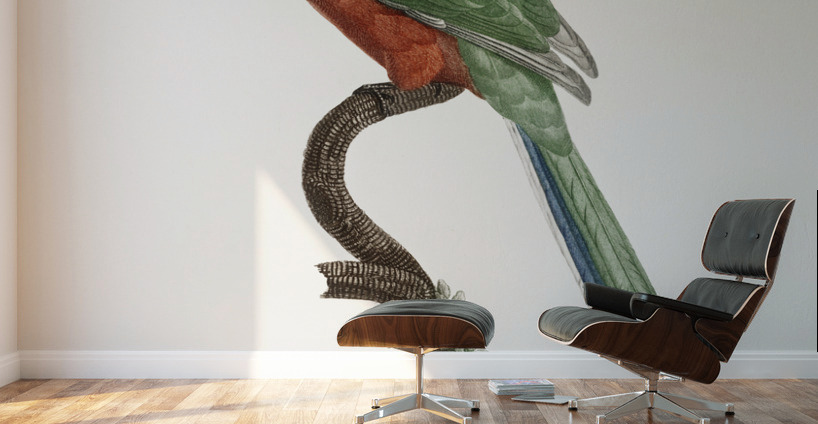 Great Jacamar Wall Murals