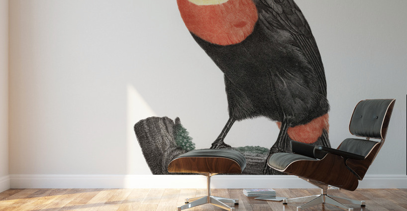 Green-billed toucan  Wall Murals