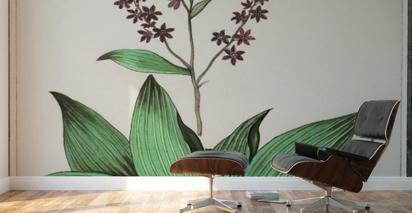 Black carrot flower Wall Murals