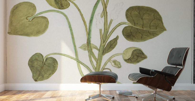 Mansoor flower in vintage style Wall Murals