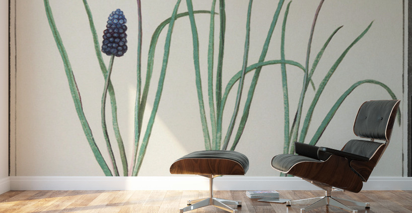 Grape hyacinth in vintage style Wall Murals