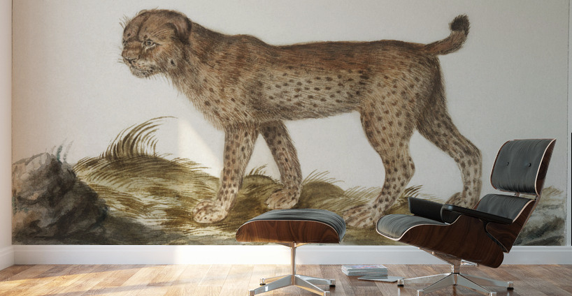Lynx in vintage style Wall Murals