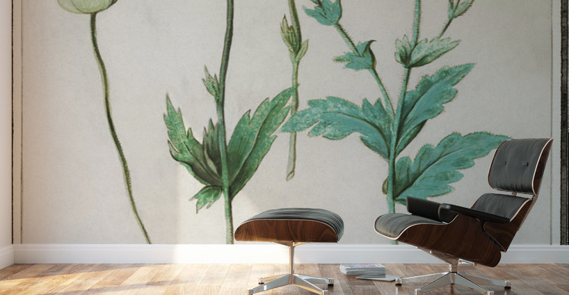 Poppy in vintage style Wall Murals