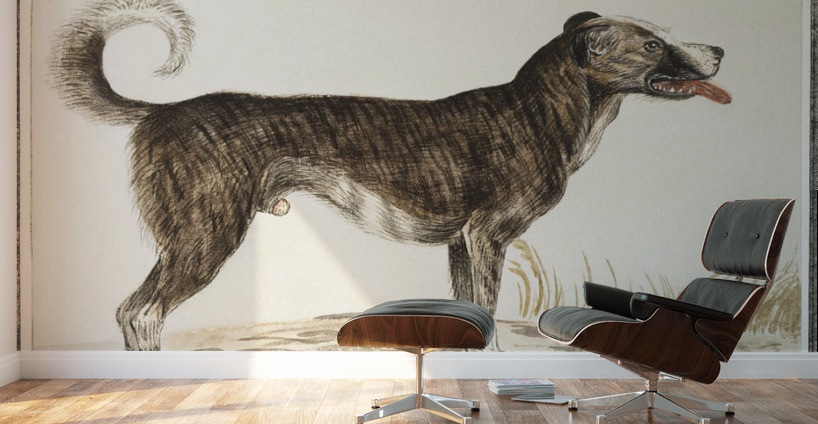 Dog in vintage style Wall Murals