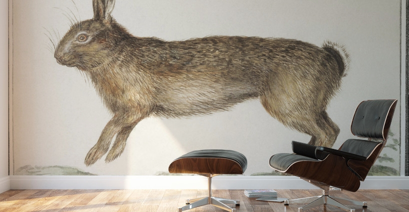 Hare in vintage style Wall Murals