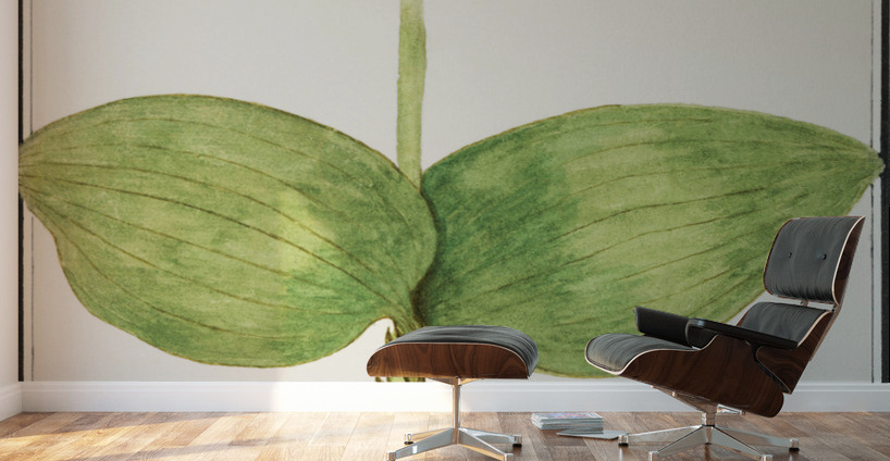 Green foliage in vintage style Wall Murals