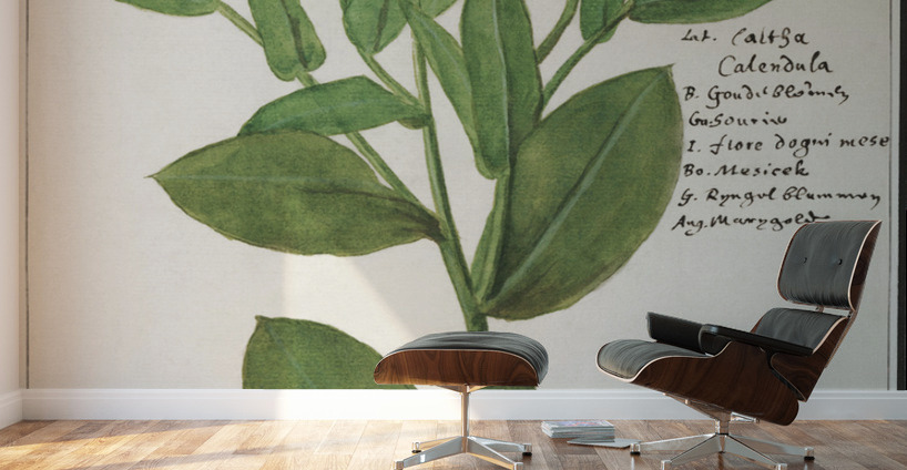 Barn owl in vintage style Wall Murals