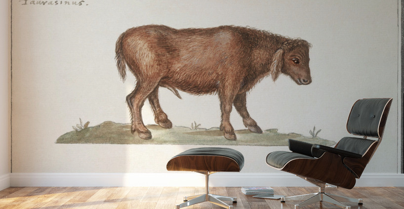 Brazilian cow in vintage style Wall Murals