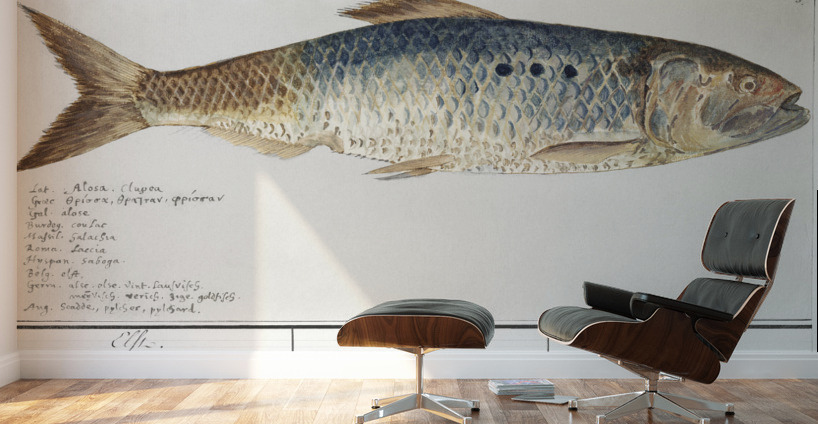 Shad in vintage style Wall Murals