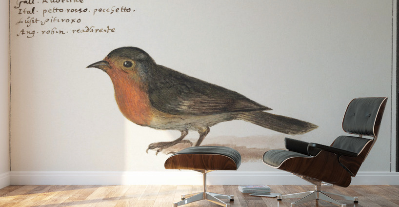Robin in vintage style Wall Murals