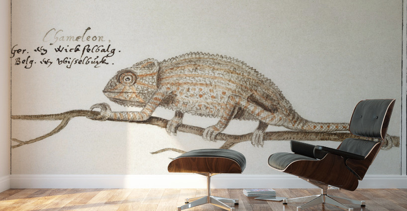 Chameleon in vintage style Wall Murals