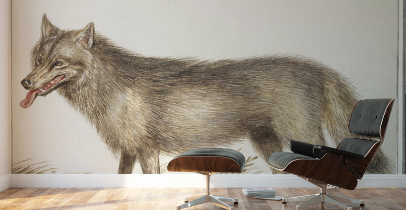 Wolf in vintage style Wall Murals