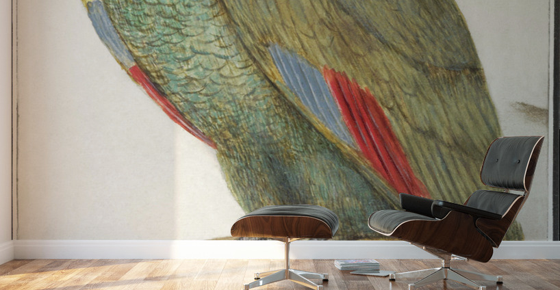 Parrot in vintage style Wall Murals