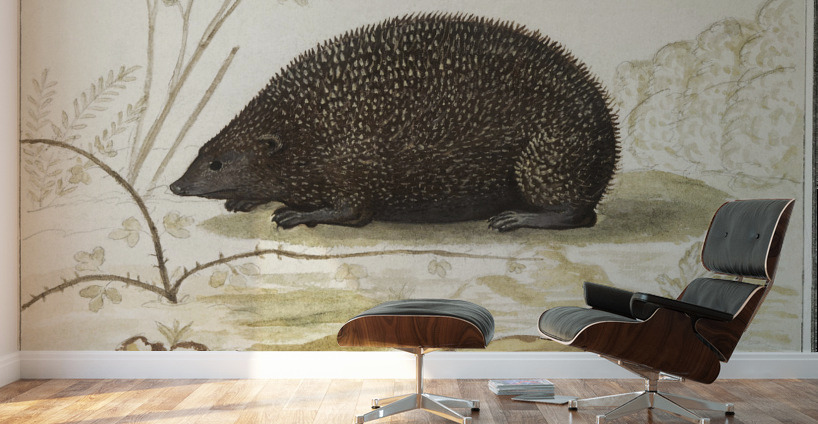 Hedgehog in vintage style Wall Murals